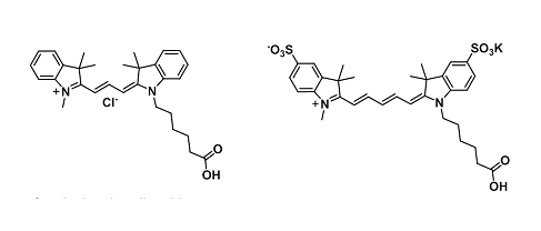 Cyanine carboxylic acid